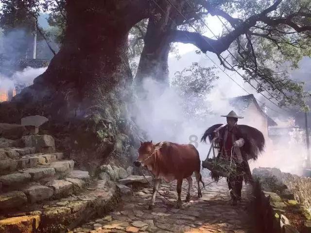 数码宝贝究极对决